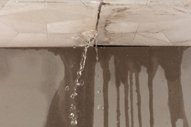 Professional Burst Pipe Cleanup technician working in Moss, TN